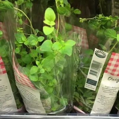 Stampa su misura Maniche trasparenti di pellicola BOPP per avvolgimento di fiori e piante