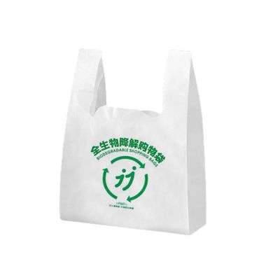 Sacchetti da porta per giubbotti di plastica stampati in virgine in PE