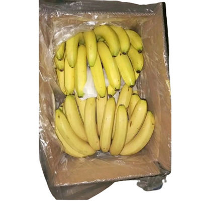 Plastico Bananas Carton Liner Sacchetti PE Perforato Sacchetto Per Frutta