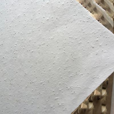 Carta riciclata di semi di fiori che cresce Invitazioni in carta di semi di fiori incorporati