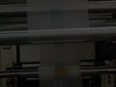 Sacchetti da porta per giubbotti di plastica stampati in virgine in PE